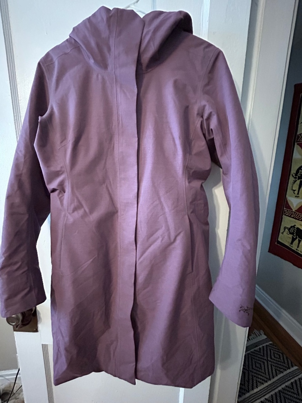 Arc'teryx Patera Women's Winter